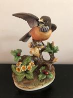Porseleinen beeld zwarte roodstaart vogel 21,5 cm hoog, Ophalen of Verzenden, Gebruikt, Vogel, Overige typen