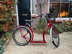 SitGo - Elektrische loopfiets, Fietsen en Brommers, Elektrische fietsen, Gebruikt, 59 cm of meer, 30 tot 50 km per accu, Ophalen