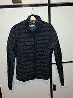 Nieuwe Primark Dames Jas - Donkerblauw - Maat S, Nieuw, Ophalen of Verzenden, Maat 36 (S), Primark