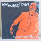 Raw Black Power - This moment in black history  7", Ophalen of Verzenden, Zo goed als nieuw, Alternative