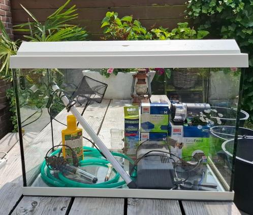Aquarium Jewel wit 70 liter 60x40x30cm (lxhxb), Dieren en Toebehoren, Overige Dieren-accessoires, Gebruikt, Ophalen