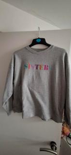 Grijze trui met 'Sisters' opdruk - Maat M, Maat 38/40 (M), Dolly Dots, Ophalen of Verzenden, Zo goed als nieuw
