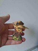 Uil van kunsthars met open vleugels L6 x B6 x H7.5 cm, Verzamelen, Dierenverzamelingen, Ophalen of Verzenden, Zo goed als nieuw