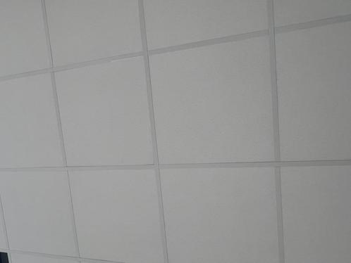 Plafondplaten, Doe-het-zelf en Verbouw, Platen en Panelen, Zo goed als nieuw, Overige materialen, Minder dan 20 mm, Ophalen