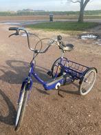 Electrische Nijland Sunny driewieler fiets volwassene, Fietsen en Brommers, Ophalen, Zo goed als nieuw, Nijland