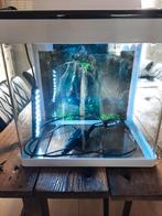 Superfish aquarium Panorama 35 LED . 35 Liter, Dieren en Toebehoren, Vissen | Aquaria en Toebehoren, Zo goed als nieuw, Ophalen