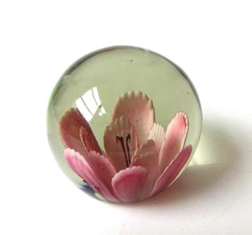 Glazen presse papier helder lichtbeige met roze bloem 3301-p beschikbaar voor biedingen