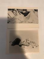Marilyn monroe ansichtkaarten F.Nugeron (France) fotokaarten, Verzamelen, Ansichtkaarten | Themakaarten, Ophalen of Verzenden