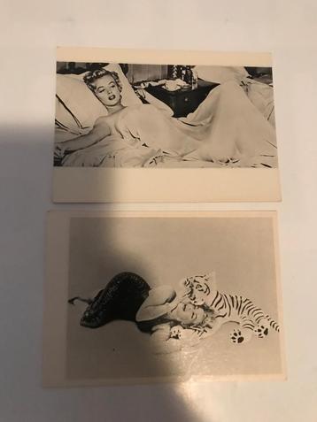 Marilyn monroe ansichtkaarten F.Nugeron (France) fotokaarten beschikbaar voor biedingen