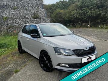Skoda FABIA 1.2 TSI Monte Carlo GREY PANORAMADAK LED XENON N beschikbaar voor biedingen