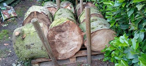 PRIMA HAARDHOUT( Dennen), Tuin en Terras, Haardhout, Blokken, Overige houtsoorten, 3 tot 6 m³, Ophalen