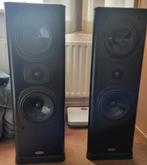 TANNOY Rosewood D30 ( Nieuw Fineer ), Zo goed als nieuw, 60 tot 120 watt, Front, Rear of Stereo speakers, Ophalen
