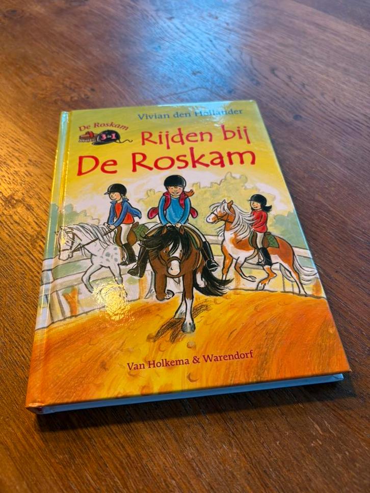 Vivian den Hollander - Rijden bij de roskam, Boeken, Kinderboeken | Jeugd | onder 10 jaar, Zo goed als nieuw, Fictie algemeen