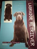 Labrador Retriever Boek - Esther Verhoef-Verhallen, Esther Verhoef-Verhallen, Honden, Ophalen of Verzenden, Zo goed als nieuw