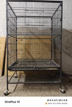 5 stuks voliere (Parkieten en Papegaaien Volgelkooi), Dieren en Toebehoren, Vogels | Hokken en Kooien, Ophalen, Gebruikt, Metaal