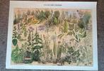 Poster. British Museum. 'Culinary Herbs'., Ophalen of Verzenden, Rechthoekig Staand