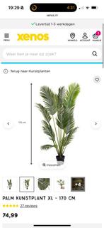 Kunstpalm Xenos, Ophalen of Verzenden, Nieuw, Binnen