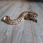 Python cinnamon pastel 100% het. Piebald 0.1, Slang