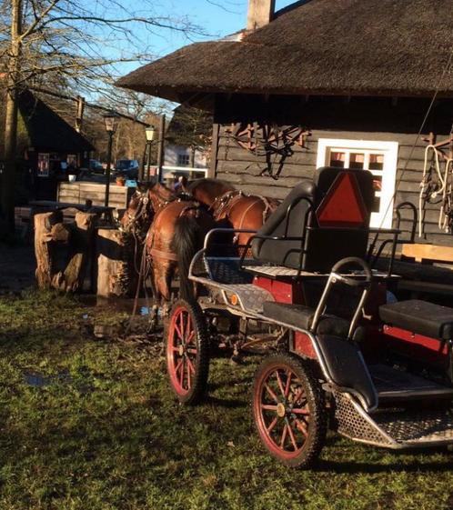 Ideal dubbelspantuig in notenbruin, Dieren en Toebehoren, Paarden en Pony's | Hoofdstellen en Tuigage, Gebruikt, Overige soorten