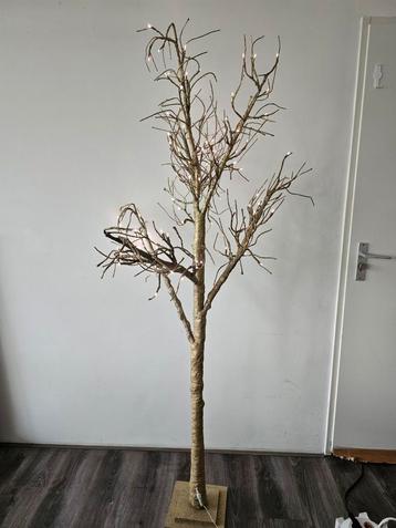 Verlichting decoratie boom beschikbaar voor biedingen