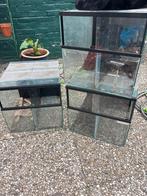 3 x split terrarium B37/D40/H35, Dieren en Toebehoren, Reptielen en Amfibieën | Toebehoren, Ophalen, Gebruikt