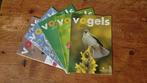 Vogelbescherming tijdschrift vogels jaargang 2016, Boeken, Tijdschriften en Kranten, Ophalen of Verzenden, Zo goed als nieuw, Wetenschap en Natuur