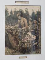 Hop garden mooie antieke ingelijste Engelse gravure uit 1884, Antiek en Kunst, Kunst | Etsen en Gravures, Ophalen of Verzenden