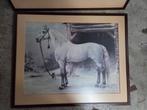 Twee ingelijste paardenprenten - Otto Eerelman, Ophalen of Verzenden