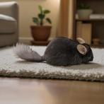 Lieve brown ebony curly drager Chinchilla bok, Dieren en Toebehoren, Knaagdieren, Chinchilla, Mannelijk, November, Tam