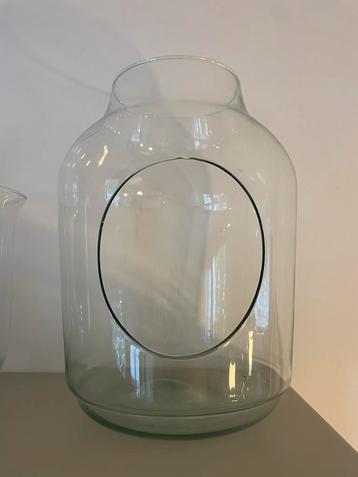 Glazen Vaas met Gat - Terrarium/Bonsai beschikbaar voor biedingen