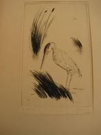 Frans Dille Roerdomp, Antiek en Kunst, Kunst | Etsen en Gravures, Verzenden