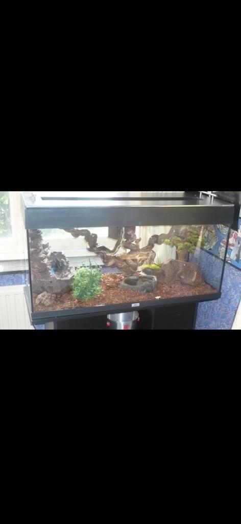Groot terrarium met waterval, blacklight, enz, Dieren en Toebehoren, Reptielen en Amfibieën | Toebehoren, Gebruikt, Terrarium of Paludarium