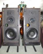 Keesonic KRF, Audio, Tv en Foto, Luidsprekers, Gebruikt, 60 tot 120 watt, Front, Rear of Stereo speakers, Ophalen