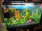 Superfish aquarium home 110, Dieren en Toebehoren, Vissen | Aquaria en Toebehoren, Ophalen, Zo goed als nieuw, Gevuld zoetwateraquarium