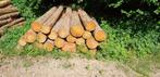 Lariksstammen 4 meter | Lariks stamhout | Volle vracht, Tuin en Terras, Haardhout, 6 m³ of meer, Verzenden, Overige houtsoorten