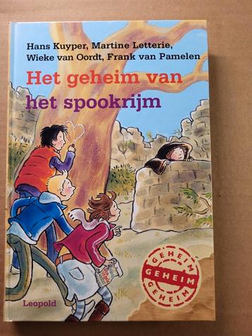 Het geheim van het spookrijm - Jeugdboek beschikbaar voor biedingen