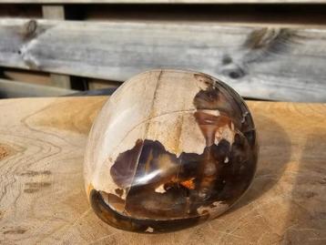 Mooi zachte versteend hout handsteen beschikbaar voor biedingen