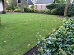 Graszoden grasrollen Premium kwaliteit, Tuin en Terras, Gras en Kunstgras, Nieuw, 20 m² of meer, Ophalen
