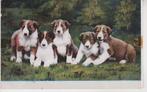5 puppies rond 1900.  Klein rond Laren N.H. 27-04, Verzamelen, Ansichtkaarten | Dieren, Gelopen, Ophalen of Verzenden, Voor 1920