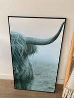 Buffel poster in lijst, Ophalen, Zo goed als nieuw, Foto of Poster, 75 cm of meer