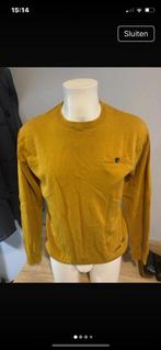 Fresh brand maat XL mosterd kleur, Ophalen of Verzenden, Nieuw, Maat 56/58 (XL)