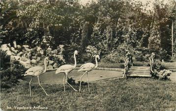 (388-397-031) Alphen aan den Rijn Avifauna beschikbaar voor biedingen