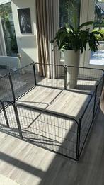 Hondenren, Puppyren, Ren, Puppy, Dieren en Toebehoren, Ophalen, Zo goed als nieuw