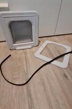 Mooi katten Luik met chip, Ophalen of Verzenden, Nieuw, Overige