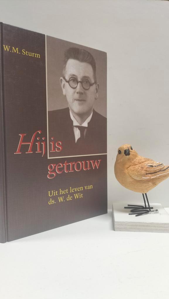 Sturm, W.M.; Hij is getrouw (Ds. W. de Wit), Boeken, Godsdienst en Theologie, Gelezen, Christendom | Protestants, Ophalen of Verzenden