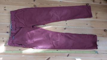 Donkerrode broek Vanguard, maat 36 / 36 beschikbaar voor biedingen