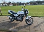 Kawasaki ER-5, Motoren, Motoren | Kawasaki, Particulier