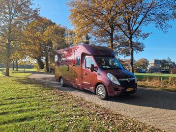 Opel Movano Occasion paardenwagen automaat 5 zitplaatsen hen beschikbaar voor biedingen