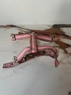 Supermooi tuig voor honden boven 6 kilo, Ophalen of Verzenden, Zo goed als nieuw