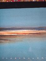 Jan Groenhart - kunstschilder, Ophalen, Nieuw, Monique Groot, Schilder- en Tekenkunst